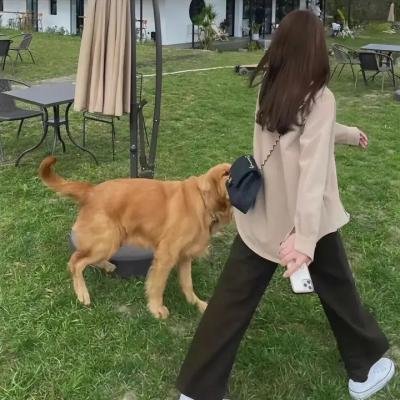 受难记